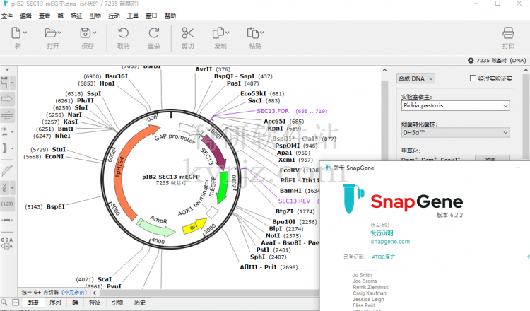分子克隆软件Snapgene 6.22中文特别版+安装教程插图